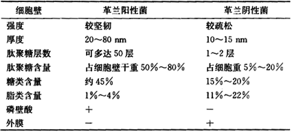 革兰阳性细菌细胞壁具有很强抗原性的成分是题目和答案