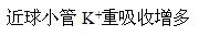 卫生招聘（护理学+临床汇总）,押题密卷,医院招聘考试《护理学》押题密卷5