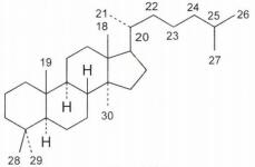 中药学专业一,押题密卷,2021年执业药师考试《中药学专业知识一》押题密卷2