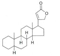 中药学专业一,押题密卷,2021年执业药师考试《中药学专业知识一》押题密卷2