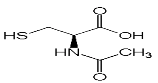 西药学专业一,章节练习,基础复习,西药学专业一真题章节