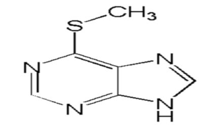 西药学专业一,章节练习,基础复习,西药学专业一真题章节