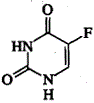 药学（中级）,章节练习,基础知识3