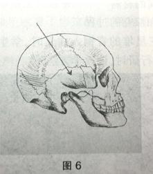 中学美术学科知识与教学能力,真题专项训练,初中美术,学科知识