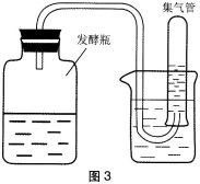 中学生物学科知识与教学能力,历年真题,2018年下半年教师资格证考试《生物学科知识与教学能力》（初级中学）真题