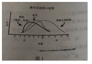 幼儿综合素质,历年真题,2019年上半年教师资格证考试《综合素质（幼儿）》真题