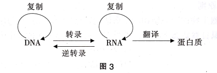 中学生物学科知识与教学能力,章节练习,基础复习,初中生物专项训练