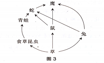 中学生物学科知识与教学能力,章节练习,基础复习,初中生物专项训练