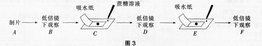 中学生物学科知识与教学能力,高分通关卷,2021年教师资格证考试《生物学科知识与教学能力》（高级中学）高分通关卷1