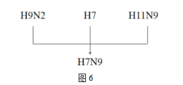 中学生物学科知识与教学能力,历年真题,2020年教师资格证考试《生物学科知识与教学能力》（初级中学）真题