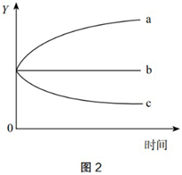 中学生物学科知识与教学能力,历年真题,2019年下半年教师资格证考试《生物学科知识与教学能力》（初级中学）真题