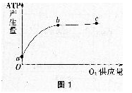 中学生物学科知识与教学能力,历年真题,2017年下半年教师资格证考试《生物学科知识与教学能力》（高级中学）真题