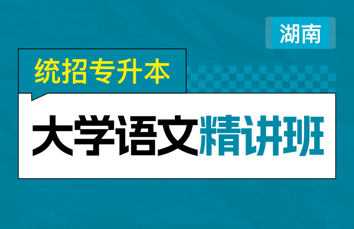 统招专升本大学语文精讲班(湖南)